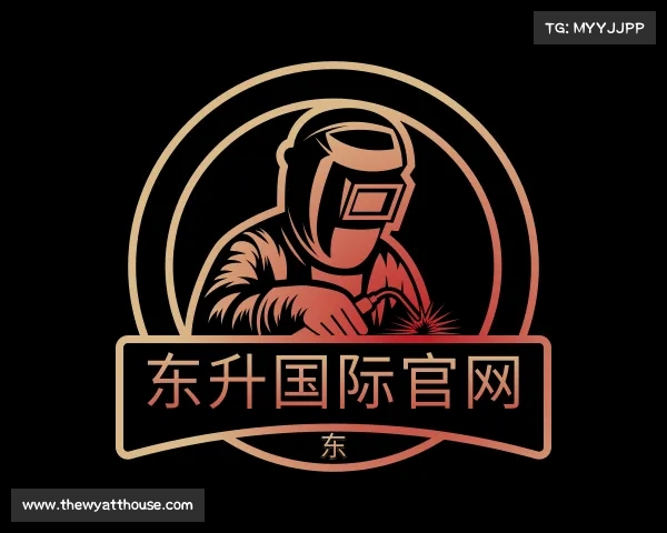 发现东升国际官网